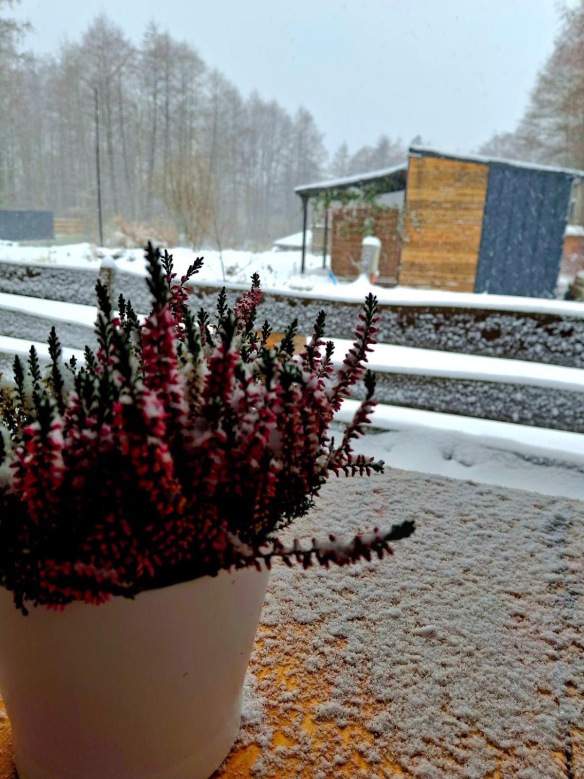 Osada Pod Lasem Andrychów Exterior foto